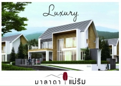 11Luxary